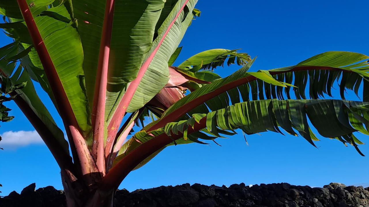 Vila Casa Azul Rabo de Peixe Exteriér fotografie